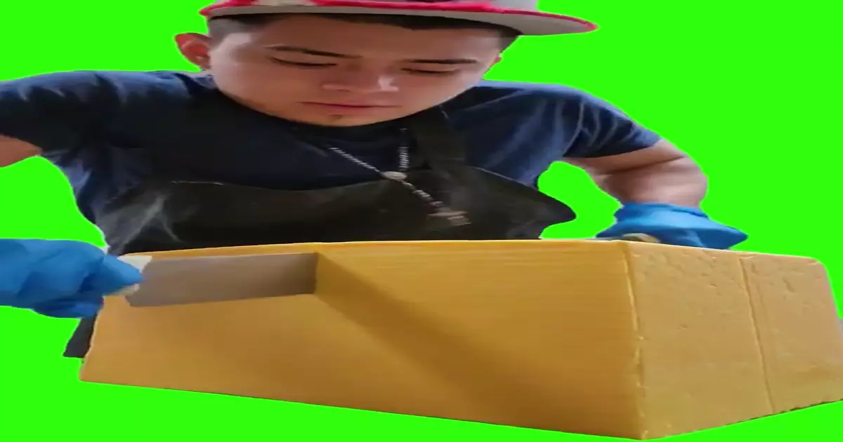 Cutting Cheese Tik Tok Green Screen Meme Download Video