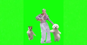 Celebration Dance Meme Download | Video & Audio Meme Video