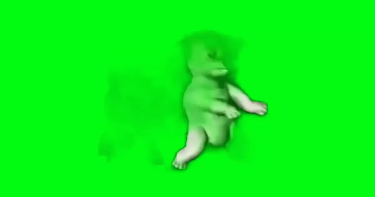 Dancing Barbie Dogs Green Screen Meme Download Video