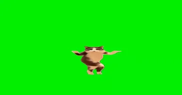 Dancing Cat