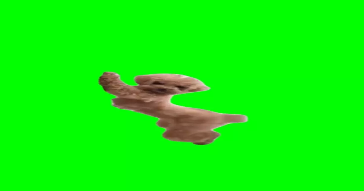 Dancing Dog Meme Download Video