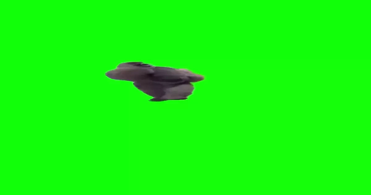 Dancing Gorilla Green Screen Meme Download Video