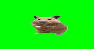 Dancing Hamster Green Screen Meme Download | Video & Audio Meme Video