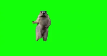 Dancing Squirrel Green Screen Meme Download | Video & Audio Meme Video
