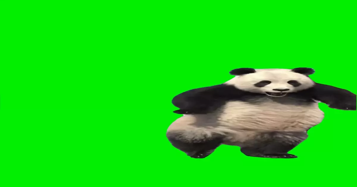 Dancing Panda Meme Download Video