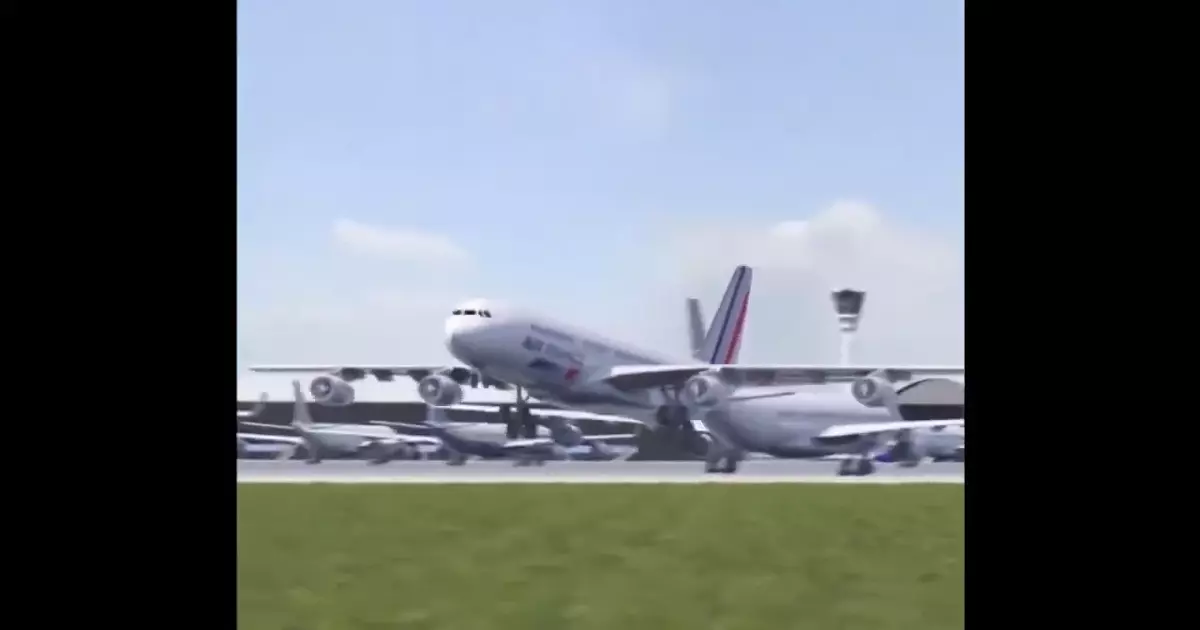 Dancing Plane With Bird Meme Download Video