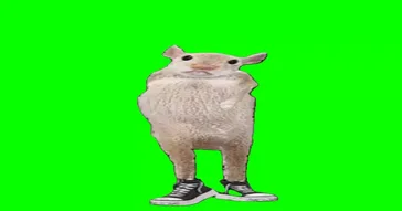 Hamster Dancing Green Screen Meme Download | Video & Audio Meme Video