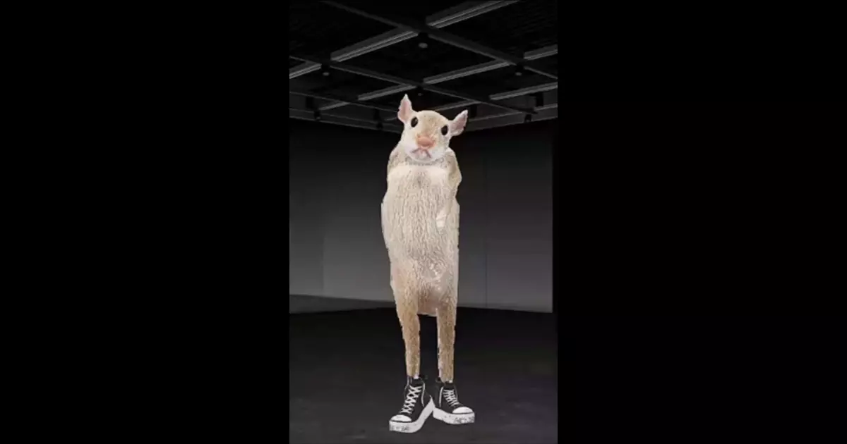 Dancing Rat Meme Download Video