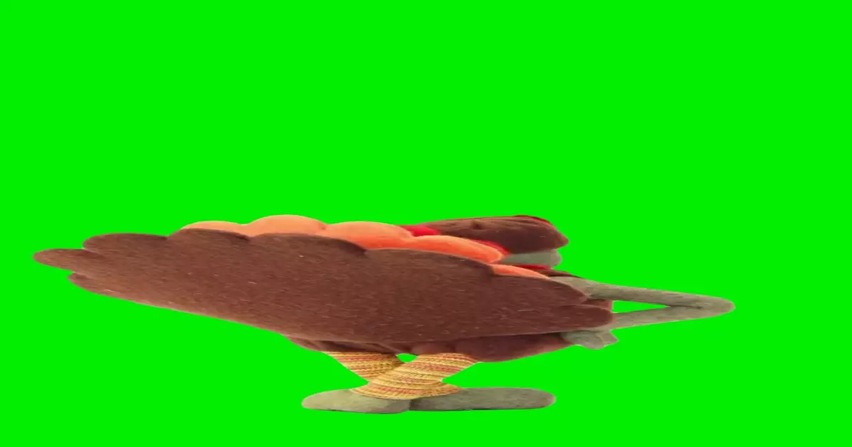 Dancing Turkey Meme Download Video