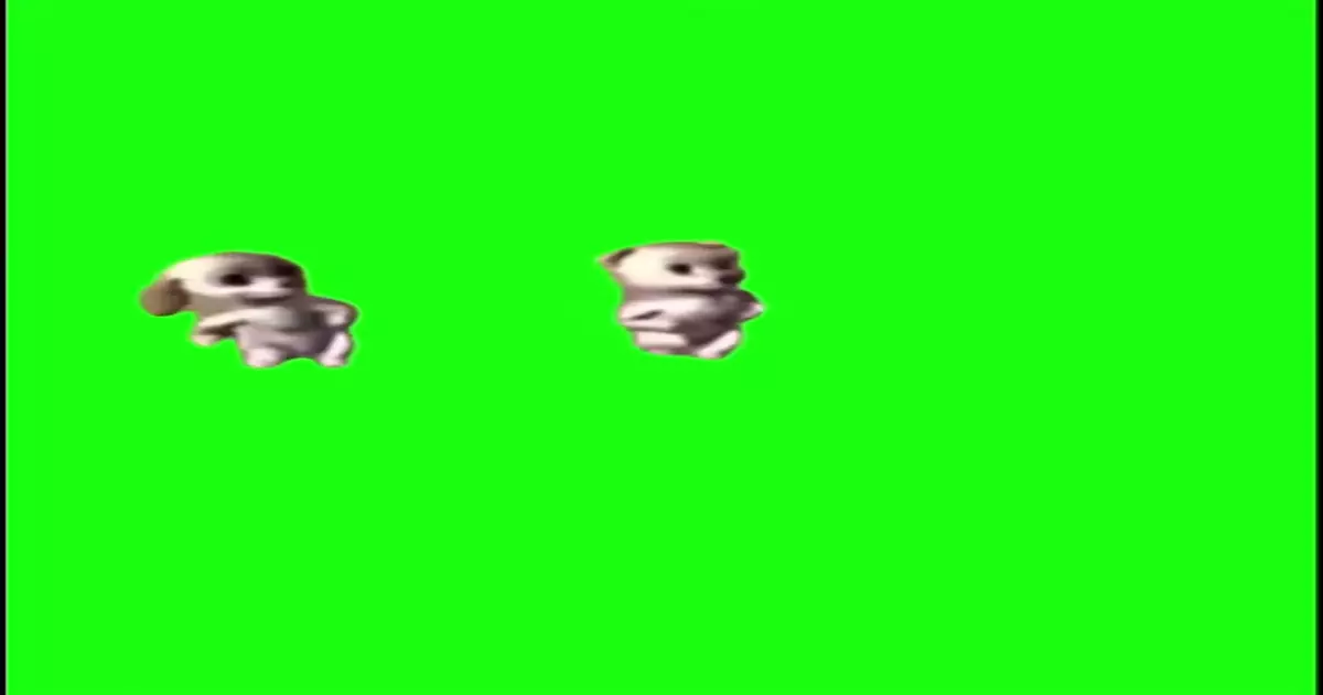 Dancingdog Green Screen Meme Download Video