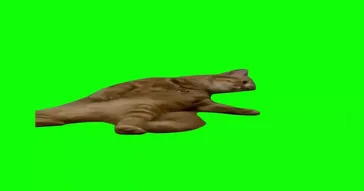 Brainrot Cat Green Screen Meme Download | Video & Audio Meme Video