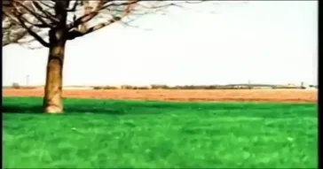 Dolph Riding A Bike Meme Download | Video & Audio Meme Video