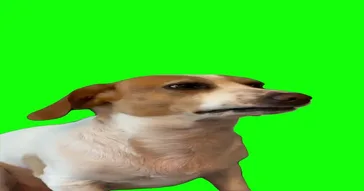 Dino Dog Sus Look Green Screen Meme Video