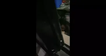 Boy And Dog Viral Meme Download | Video & Audio Meme Video