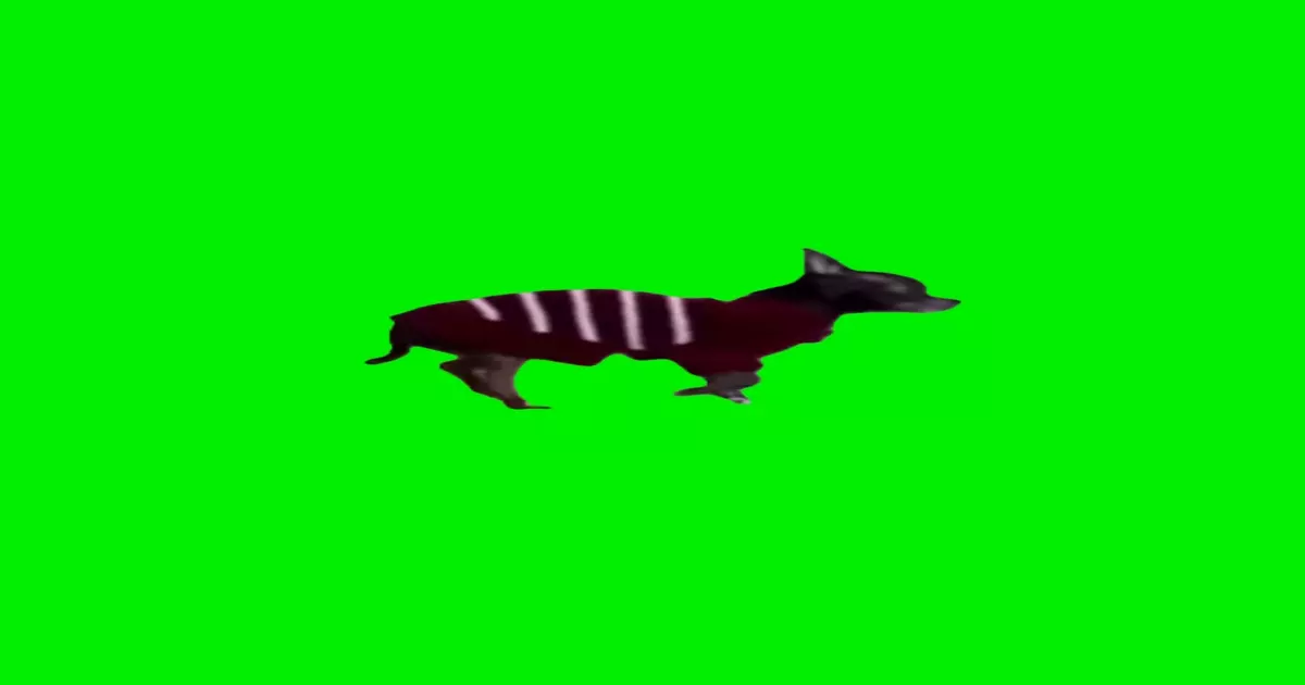 Dog Creepin Green Screen Meme Download Video