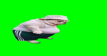 Dog Dad Shopping Green Screen Meme Download Video