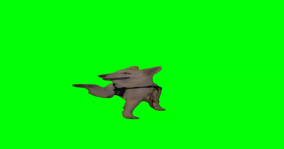 Dog Dancing To Wait Meme Download Video