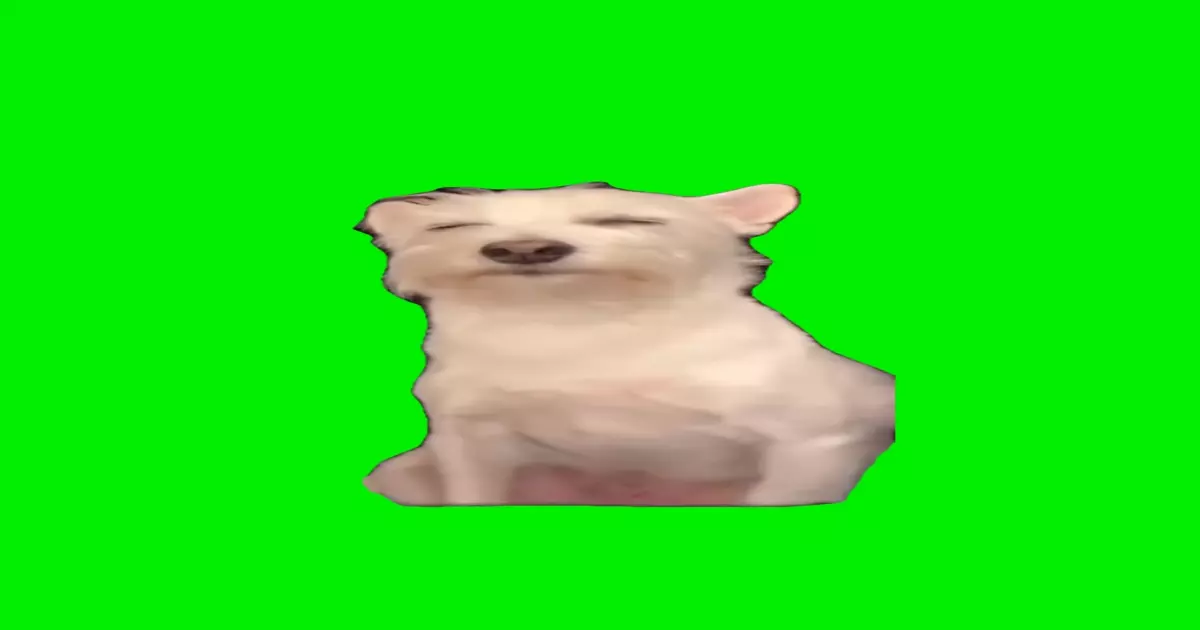Dog Enjoying Back Scratches Meme Download Video