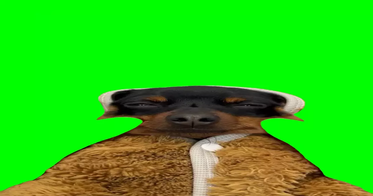 Dog Face Massage Meme Download Video
