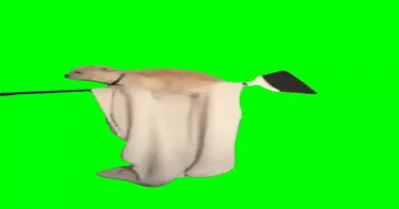 Dog Dance Flying Through Space Green Screen Meme Download Video
