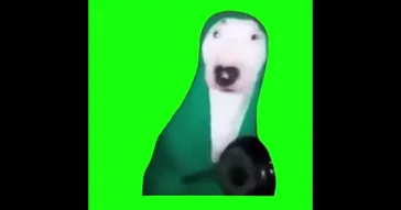 Dog Hitting Pan Green Screen Meme Video