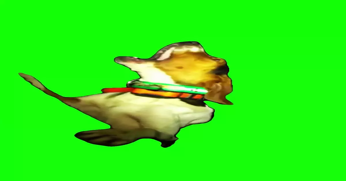 Dog Howling Meme Download Video