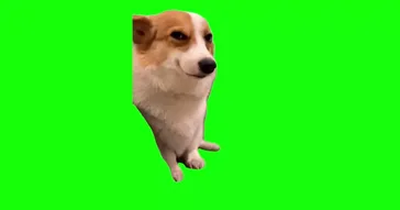 Dog Staring And Sighs Meme Download | Video & Audio Meme Video