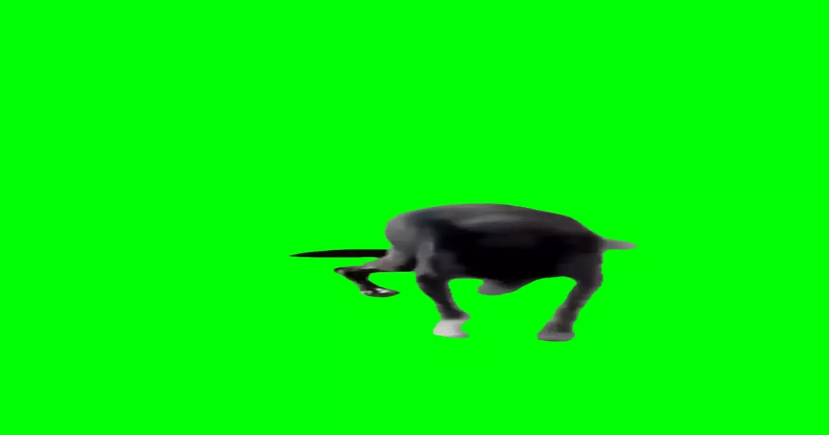 Dog Sneezing Meme Download Video