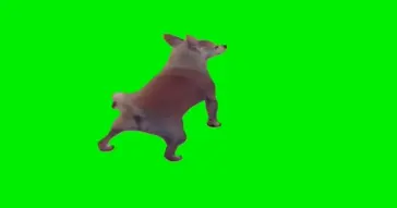 Cute Dog Dancing Crazy Green Screen Meme Download | Video & Audio Meme Video