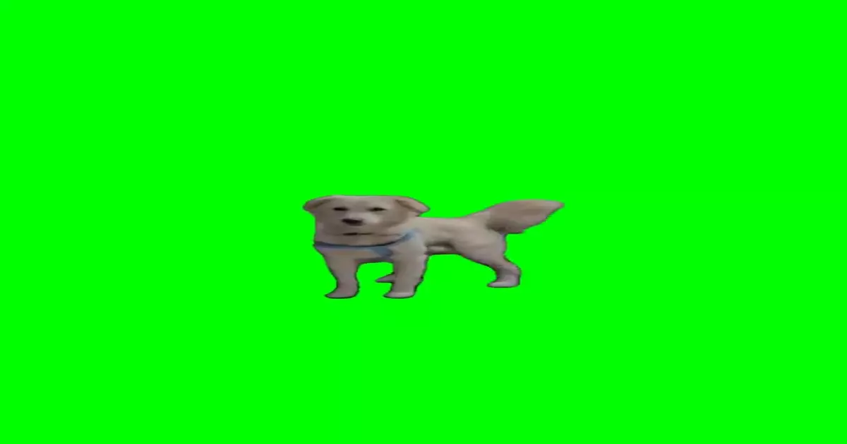 Dog Walking On Back Feet Green Screen Meme Download Video