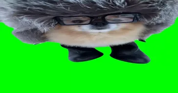 Smiling Big Head Dog Green Screen Meme Download | Video & Audio Meme Video
