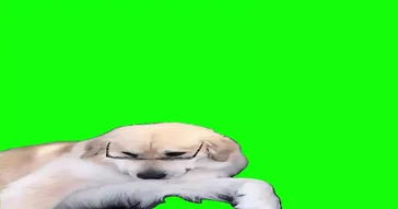 Dog With Glasses Looking Green Screen Meme Video