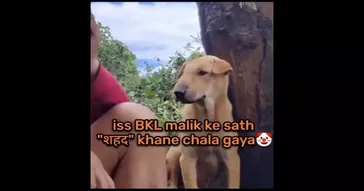 Dogesh Swelling Funny Meme Video