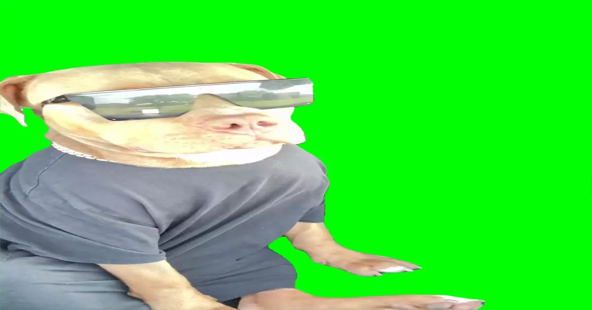 Doggy Nodding Head To Music Meme Download Video