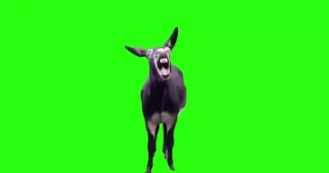 Laughing Goats Meme Download | Video & Audio Meme Video