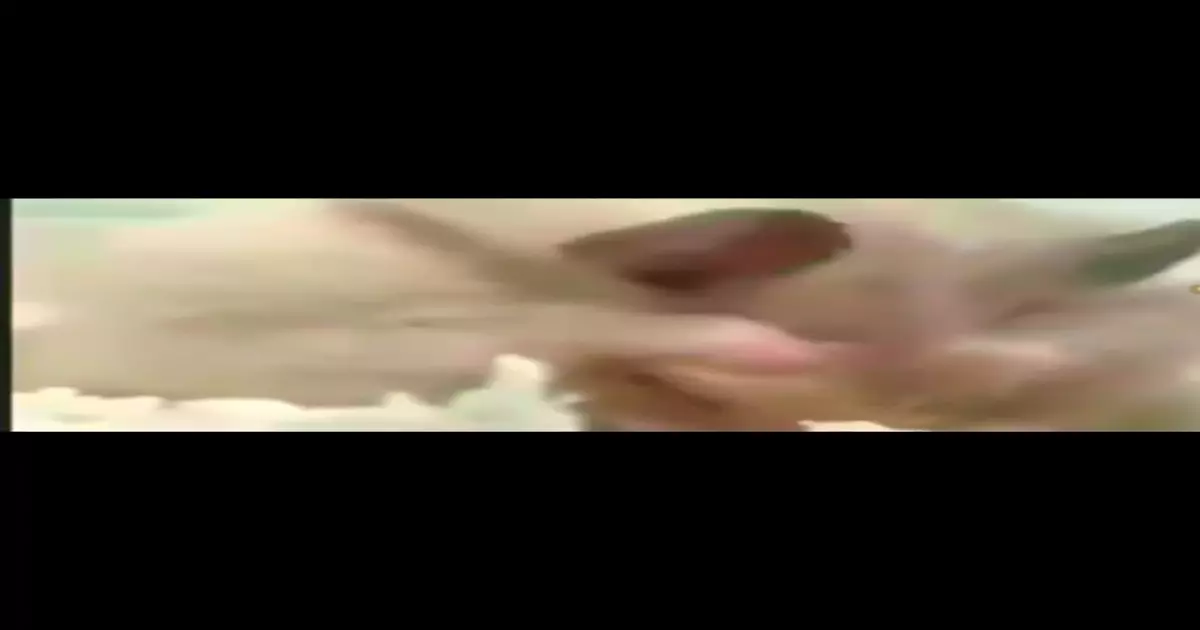 Dorime Meme Download Video