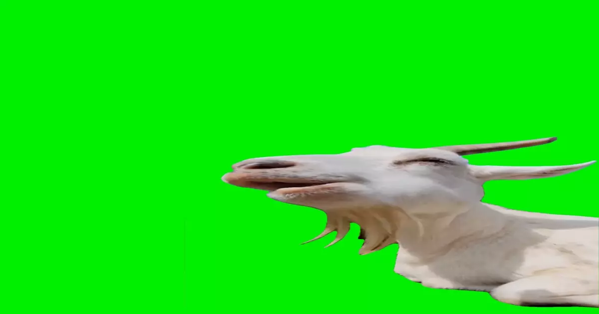 Eating Out Loud Meme Download Video