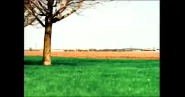 Ek Bewafa Ke Jakhmo Par Meme Video