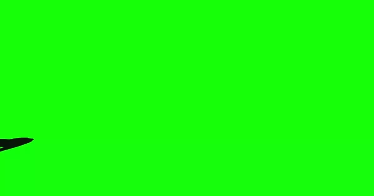 Elephant Green Screen Meme Download Video