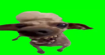 Happy Dog Meme Download | Video & Audio Meme Video