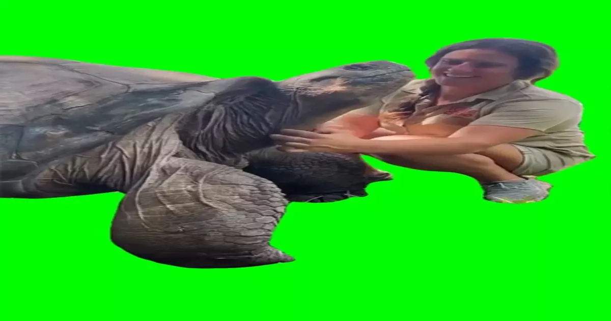 Extending Neck Meme Download Video