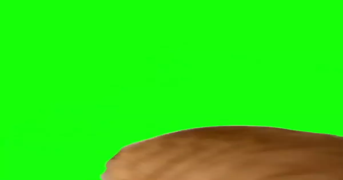 Eyebrow Cat Vine Boom Green Screen Meme Download Video