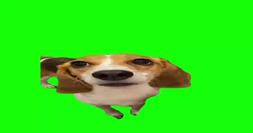 Very Quick Very Effective Meme Download | Video & Audio Meme Video