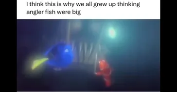 Fish Mocking Meme Download | Video & Audio Meme Video