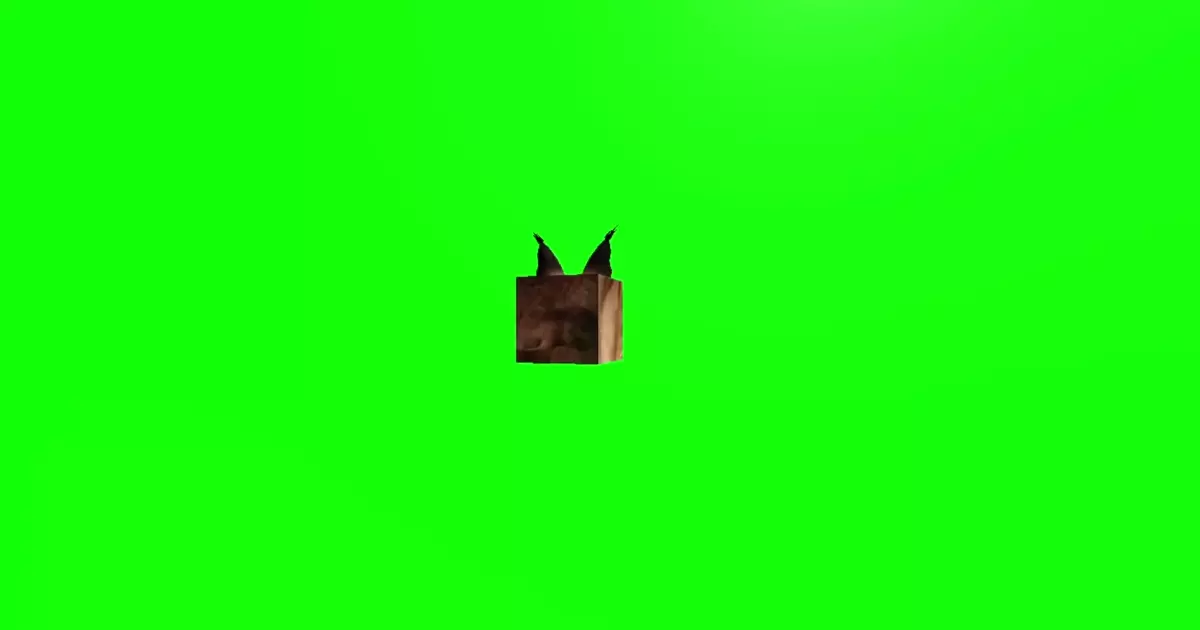 Floppa Cube Green Screen Meme Download Video