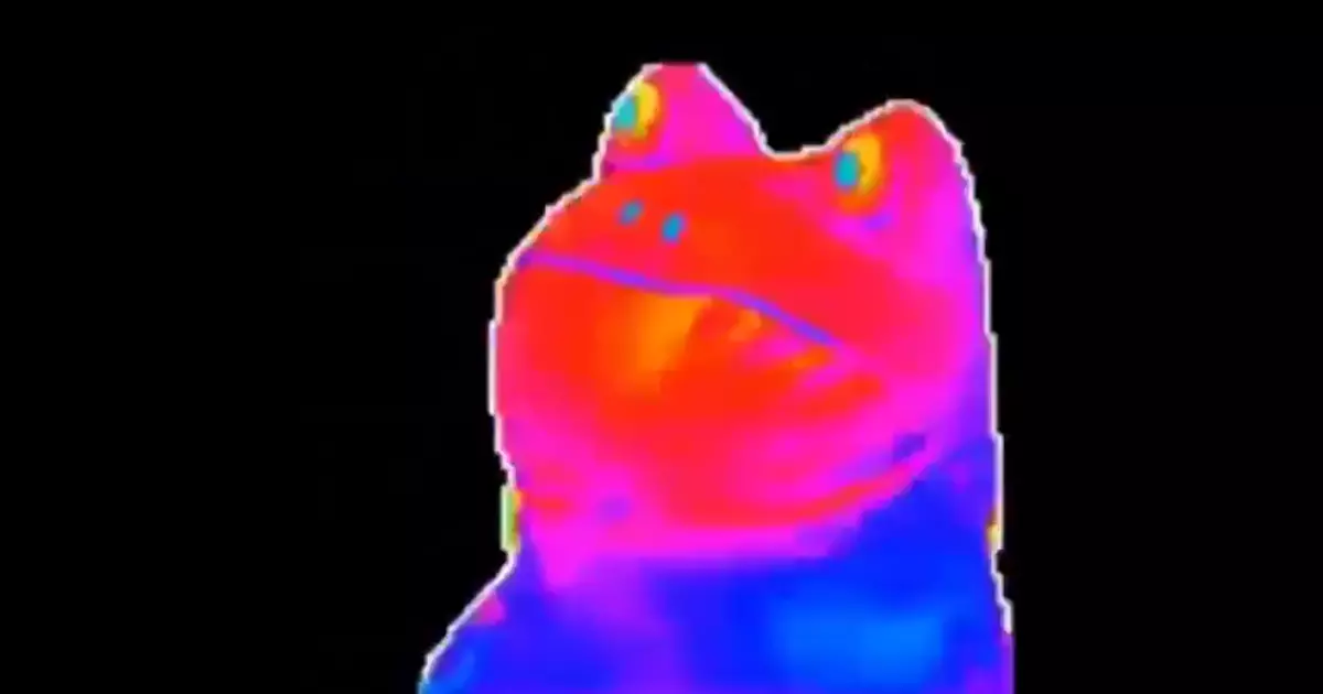Frog Dancing Green Screen Meme Download Video