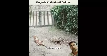 Boy And Dog Viral Meme Download | Video & Audio Meme Video