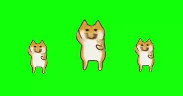 Funny Dog Meme Download | Video & Audio Meme Video