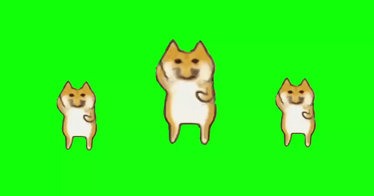 Funny Dog Dance Meme Download Video