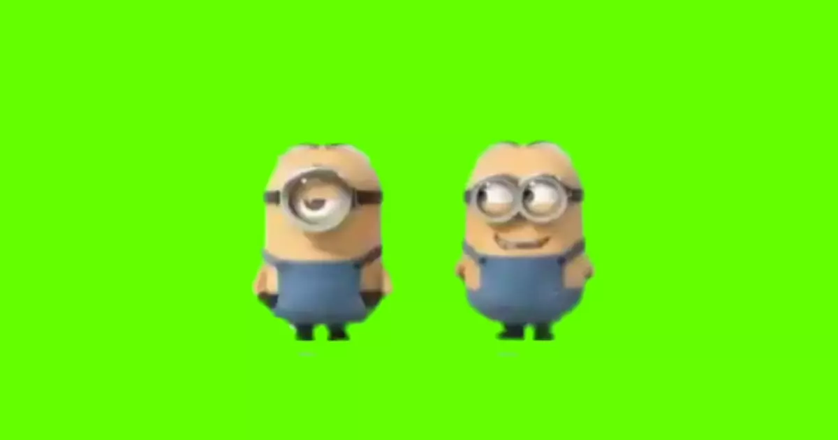 Funny Minions Laughing Green Screen Meme Download Video